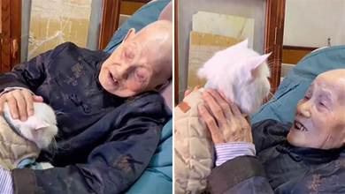 91歲奶奶躺在椅子上，抱著8歲的貓咪：我不在後，要記得聽話